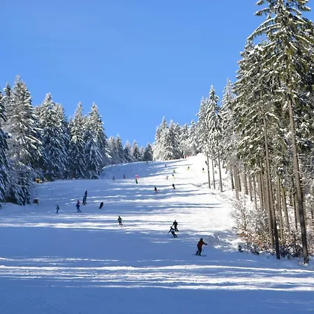Skiapartma - Ricky V Orlickych Horach Exterior foto