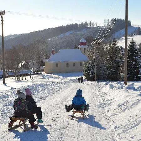 Skiapartma - Ricky V Orlickych Horach Exterior foto