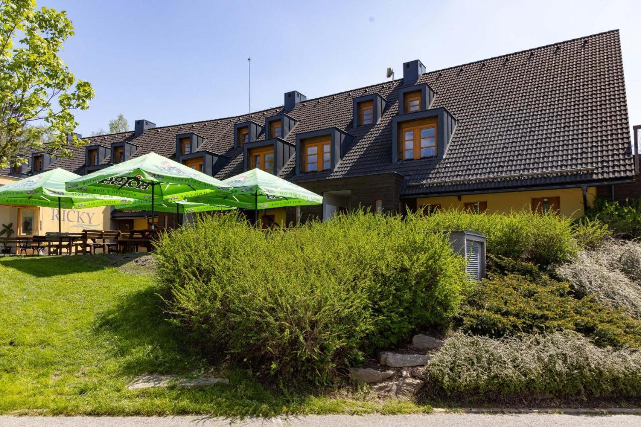 Skiapartma - V Orlickych Horach Apartment Ricky (Hradec Kralove)