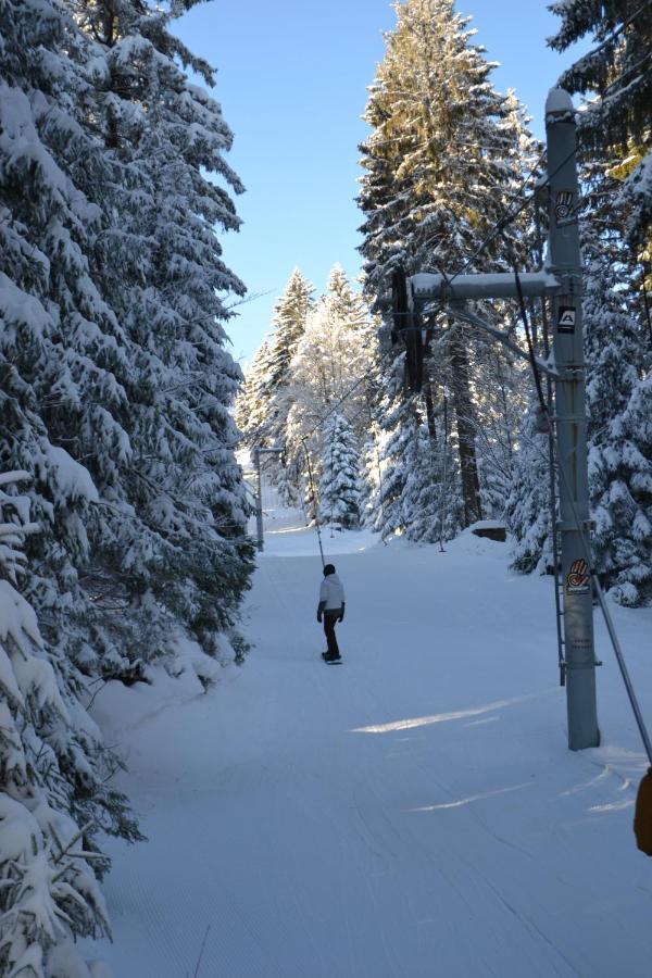 Skiapartma - V Orlickych Horach Ricky (Hradec Kralove)
