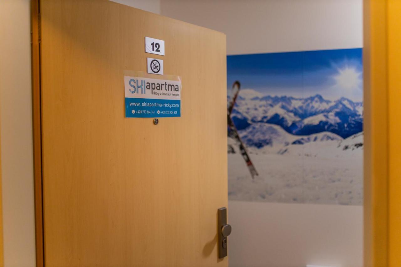 Apartment Skiapartma - V Orlickych Horach