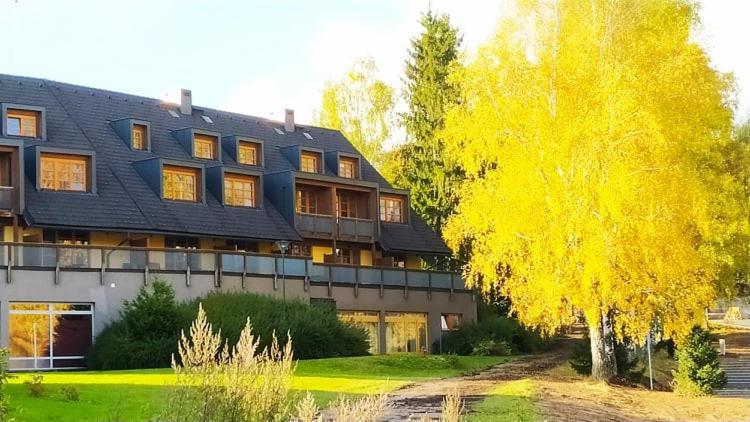Skiapartma - V Orlickych Horach