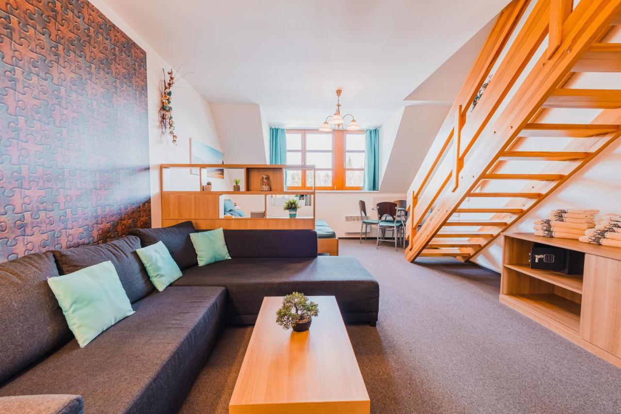 Skiapartma - V Orlickych Horach Apartment Ricky (Hradec Kralove)