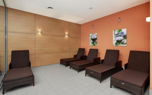 Skiapartma - V Orlickych Horach Apartment Ricky (Hradec Kralove)