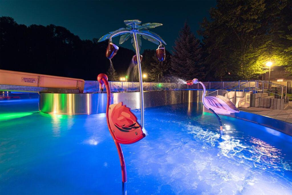 Apartment Skiapartma - V Orlickych Horach Ricky (Hradec Kralove)