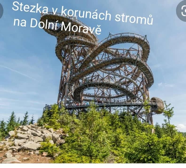 Skiapartma - V Orlickych Horach